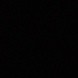 Meet your Posher, Dillan